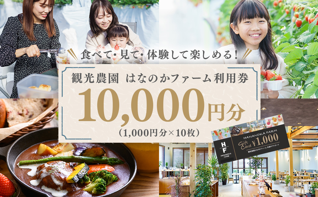 観光農園はなのかファーム利用券10枚綴り チケット 体験チケット いちご狩り カフェ お出かけ 休日 ※離島への配送不可