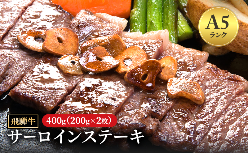 飛騨牛 牛肉 肉 ステーキ サーロイン 400g 200g×2枚 A5 和牛 【岐阜県瑞穂市】 ※離島への配送不可