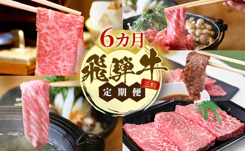 飛騨牛 A5 大満足 飛騨牛三昧 6か月 定期便 ステーキ すき焼き 焼肉 ※離島への配送不可
