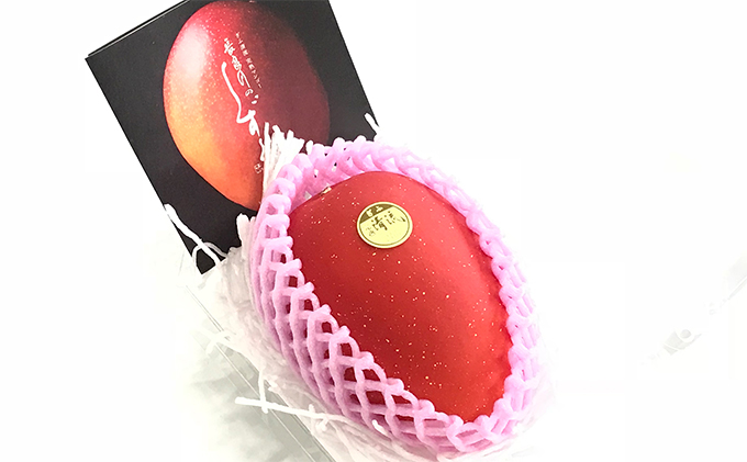 ぎふ清流完熟マンゴー1個入り※クレジット決済のみ｜果物 フルーツ 旬 採れたて お取り寄せ お取り寄せグルメ デザート スイーツ おやつ 贈答用 贈り物 ギフト プレゼント  ※北海道・沖縄県・離島への配送不可 ※2026年6月中旬～7月下旬頃に順次発送予定