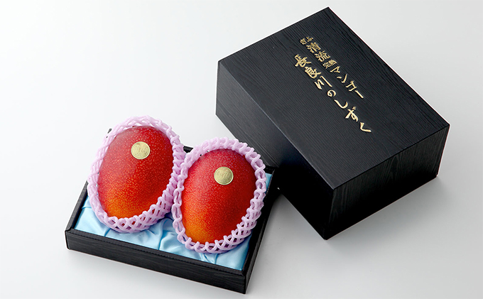 ぎふ清流完熟マンゴー2個入り※クレジット決済のみ ｜果物 フルーツ 旬 採れたて お取り寄せ お取り寄せグルメ デザート スイーツ おやつ 贈答用 贈り物 ギフト プレゼント ※北海道・沖縄県・離島への配送不可 ※2026年6月中旬～7月下旬頃に順次発送予定