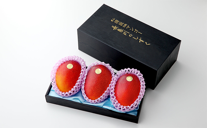 ぎふ清流完熟マンゴー 3個セット｜果物 フルーツ 旬 採れたて お取り寄せ お取り寄せグルメ デザート スイーツ おやつ 贈答用 贈り物 ギフト プレゼント ※北海道・沖縄県・離島への配送不可 ※2026年6月中旬～7月下旬頃に順次発送予定