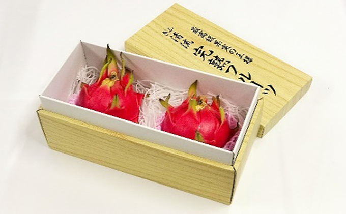 【先行予約】養本社のドラゴンフルーツ 4Lサイズ2個入 ｜果物 フルーツ 旬 採れたて お取り寄せ お取り寄せグルメ デザート スイーツ おやつ 贈答用 贈り物 ギフト プレゼント ※北海道・沖縄県・離島への配送不可 ※2026年6月中旬～7月下旬頃に順次発送予定