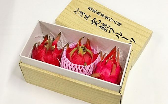 養本社のドラゴンフルーツ 3Lサイズ3個入 ｜果物 フルーツ 旬 採れたて お取り寄せ お取り寄せグルメ デザート スイーツ おやつ 贈答用 贈り物 ギフト プレゼント ※北海道・沖縄県・離島への配送不可 ※2026年6月中旬～7月下旬頃に順次発送予定