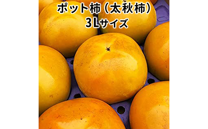 こだわり栽培ポット柿（太秋柿） 3Lサイズ9個入り ※離島への配送不可 ※2025年10月中旬～11月上旬頃に順次発送予定