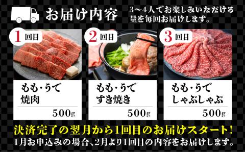 定期便 3回 飛騨牛 5等級 赤身 ウデ モモ しゃぶしゃぶ すき焼き 焼肉 3～4人前 3ヵ月 国産牛 国産 牛肉 肉 和牛 厳選 肉の沖村[Q2341]