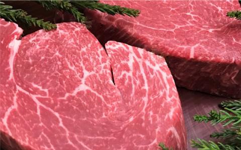 飛騨牛 5等級 ヒレ肉 ヒレステーキ 厚さ3cm 2枚で400g 希少 BBQにも 古里精肉店[Q551]