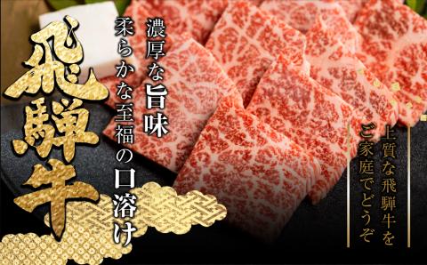 定期便 全12回 飛騨牛 5等級 しゃぶしゃぶ すき焼き 焼肉 お楽しみ定期便 12ヵ月 ロース もも うで 食べ比べ 国産牛 国産 牛肉 肉 厳選 熟成 肉の沖村[Q1206]