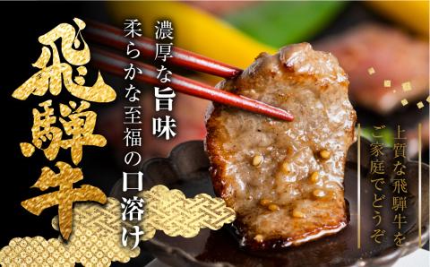 飛騨牛ロース・うでもも食べ比べセット(焼肉)　計500g 焼き肉 BBQ 国産牛 国産 牛肉 肉 厳選 熟成 贈答用[Q880]