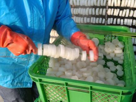 先行予約【2026年2月下旬より発送】奥飛騨山之村 寒干し大根 計140g 70g×2箱 煮物 すき焼き 漬物 などに[A0119]