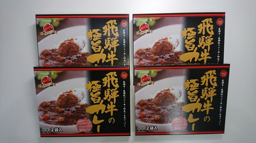 飛騨牛の極旨カレー　２食入り×４箱
