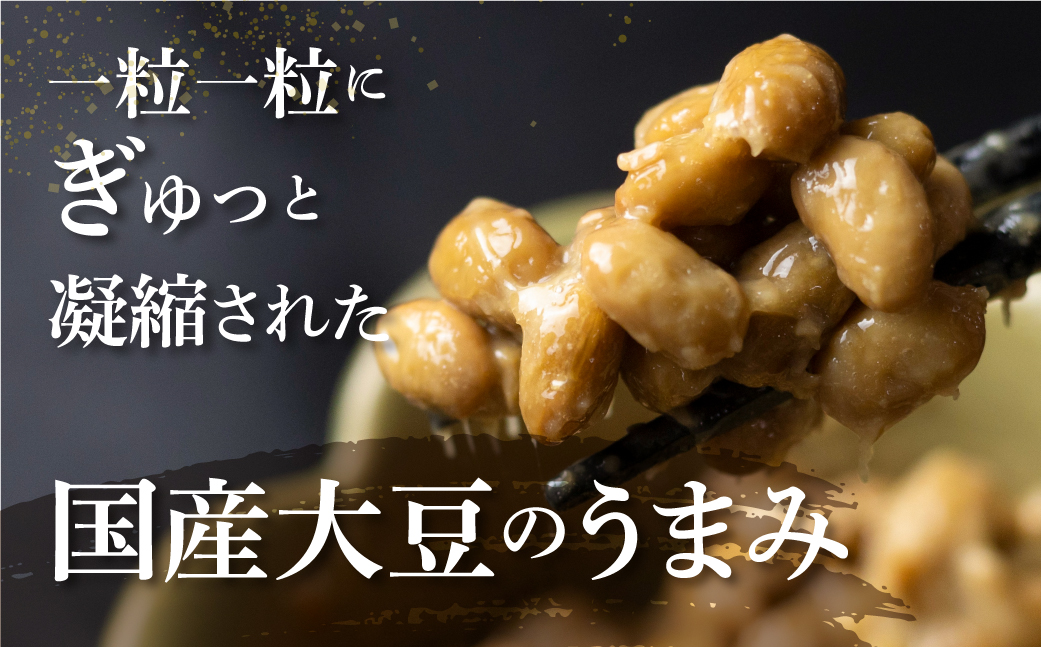 飛騨納豆 国産大豆 納豆 大粒 3パック 5個 合計15パック 橋本商店 なっとう 高級納豆 [Q071u5000]