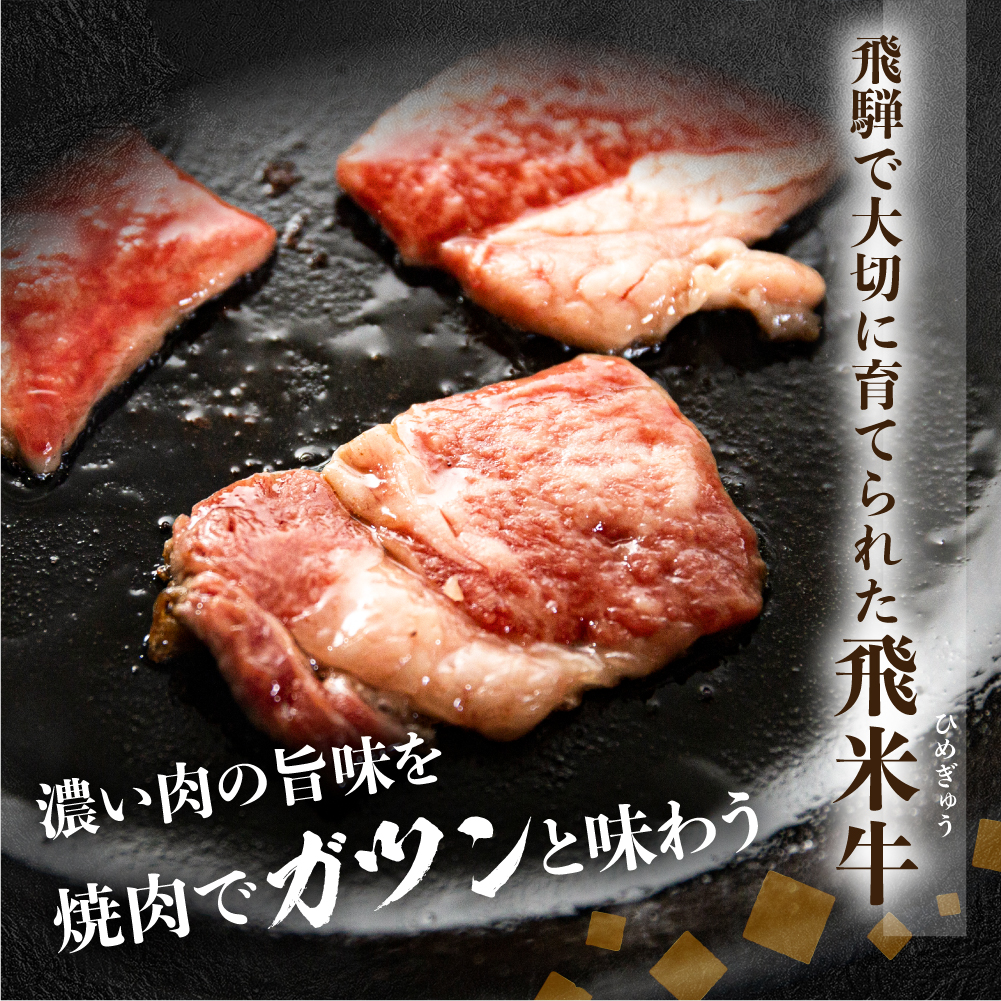 《簡易包装》飛騨産黒毛和牛 飛米牛 ロース 焼肉用 300g 牛肉 肉 和牛 冷凍 ギフト