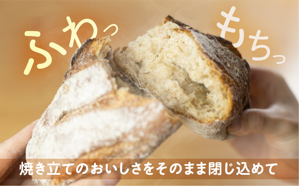 市東製作所おまかせパンセット Mサイズ（6-7個程度） 冷凍パン [Q2648]