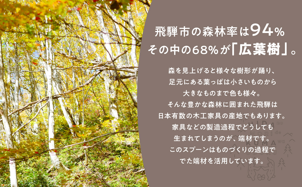 飛騨の広葉樹 カトラリーキット 小スプーン 2セット 訳あり 樹種おまかせ ウッドスプーン 木製スプーン カトラリー FabCafe Hida