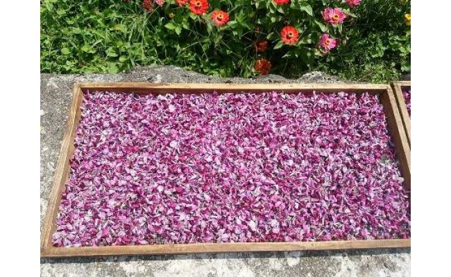 野草茶　１５パック入り×４袋