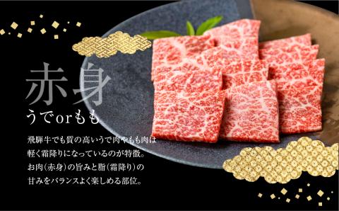 飛騨牛うでorもも焼肉 500g 焼き肉 BBQ 国産牛 国産 牛肉 肉 厳選 熟成 贈答用[Q877]