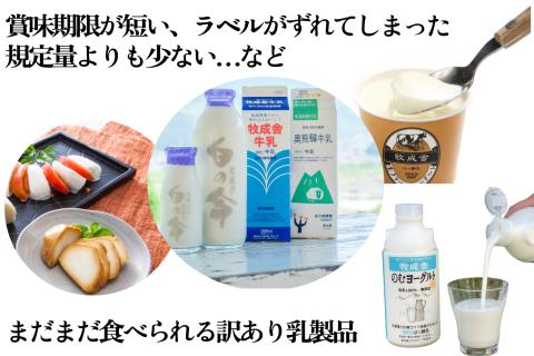 訳あり 福袋 ＜牧成舎＞乳製品デラックスセット 牛乳 ヨーグルト チーズ お任せ 飛騨産生乳で作ったこだわりの乳製品セット まとめ買い 牧成舎[Q2209]