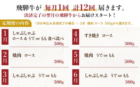 定期便 全12回 飛騨牛 5等級 しゃぶしゃぶ すき焼き 焼肉 お楽しみ定期便 12ヵ月 ロース もも うで 食べ比べ 国産牛 国産 牛肉 肉 厳選 熟成 肉の沖村[Q1206]