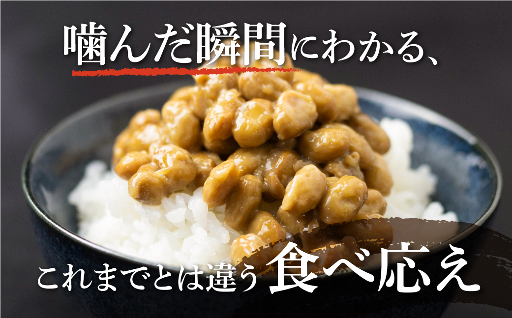 飛騨納豆 国産大豆 納豆 大粒 3パック×21個 合計63パック 橋本商店 なっとう 高級納豆 [Q071x]