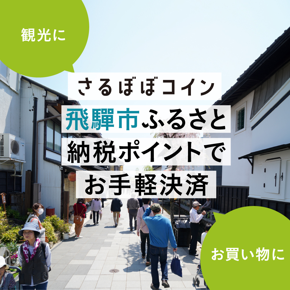 さるぼぼコイン　飛騨市ふるさと納税ポイント3,000pt [Q2297]