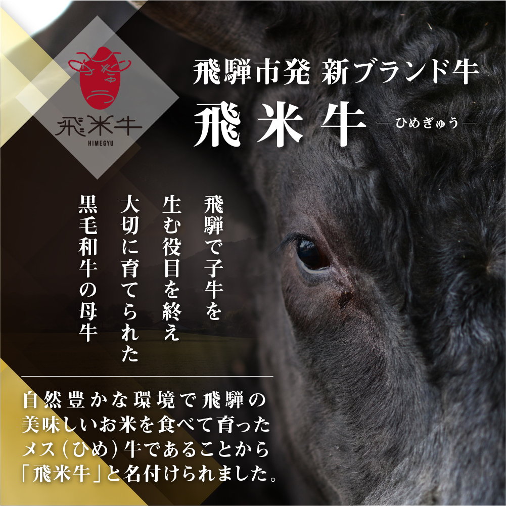 《簡易包装》飛騨産黒毛和牛 飛米牛 ロース 焼肉用 300g 牛肉 肉 和牛 冷凍 ギフト