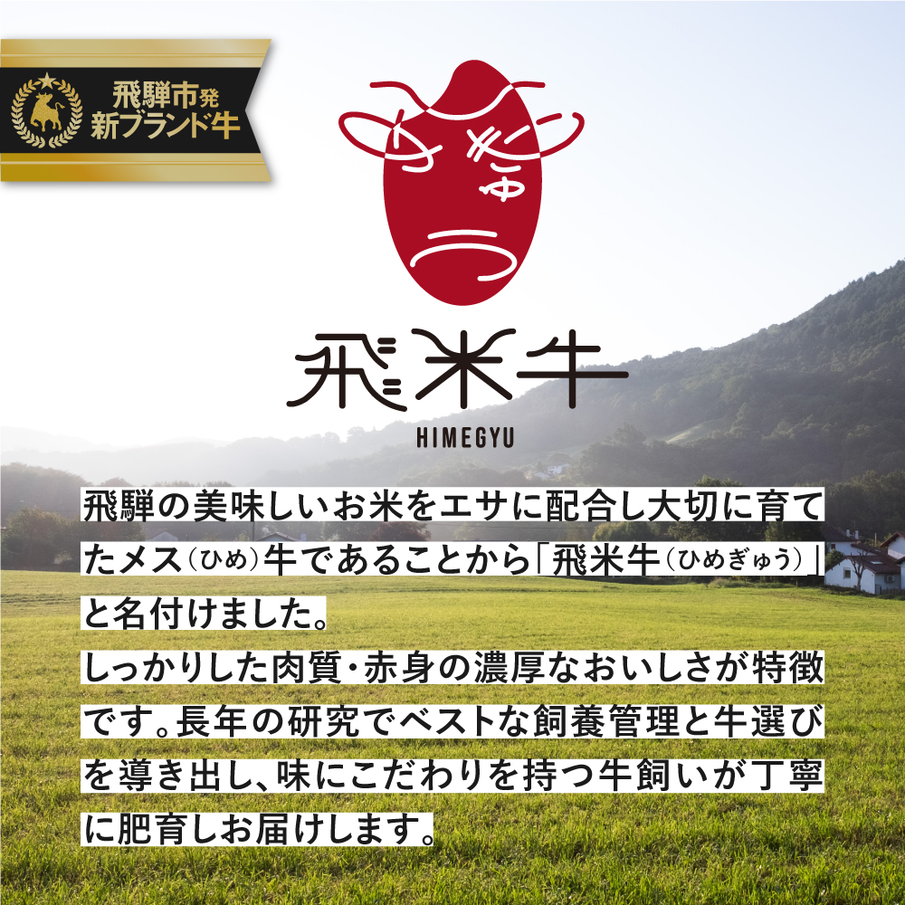 《簡易包装》うまい赤身にこだわった 牛飼いの和牛肉 しゃぶしゃぶ  300g  飛米牛 赤身肉