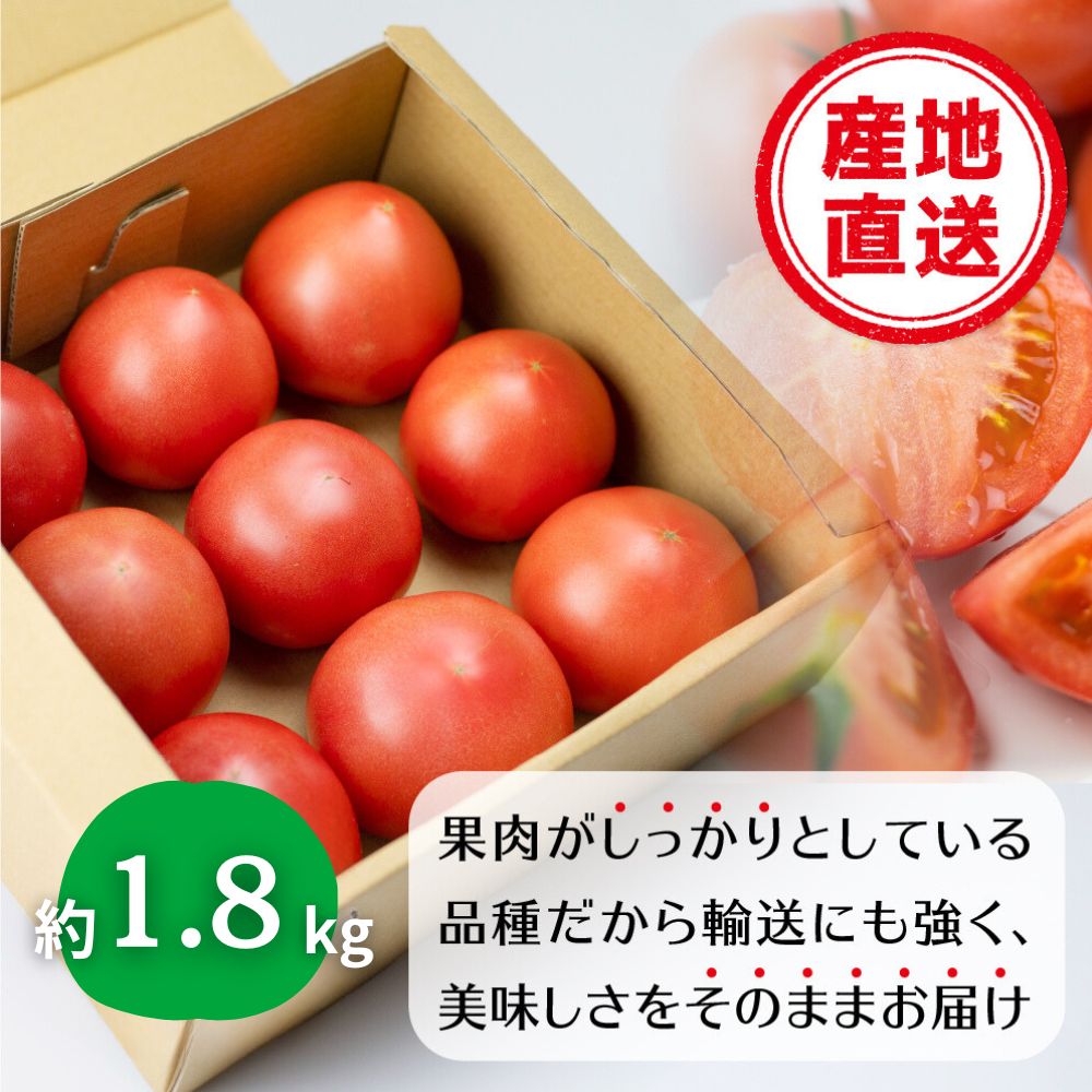 《先行予約》飛騨トマト　約1.8㎏ 産地直送 野菜 とまと トマト 麗月 夏野菜[Q716]