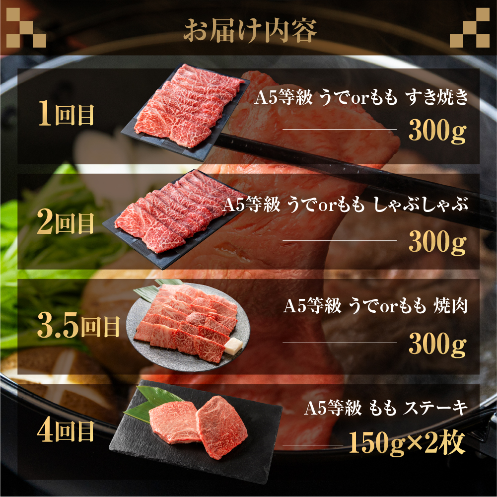 飛騨牛づくし定期便 5回 2人前定期便 飛騨牛 5等級 しゃぶしゃぶ すき焼き ステーキ 焼肉 お楽しみ定期便 5ヵ月 もも うで 食べ比べ 国産牛 国産 牛肉 肉 厳選 熟成 肉の沖村 飛騨市 [Q2673]