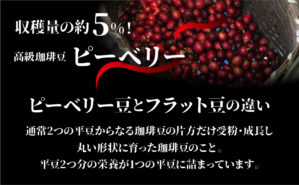 チョコクランチ＆ドリップコーヒー ギフトボックス小 クランチチョコ 飛騨の森のめぐみグラノーラ メナモミチョコクランチ＆エゴマと黒マメのホワイトチョコクランチ 菓子 スイーツ 珈琲 ギフト プレゼント 贈り物