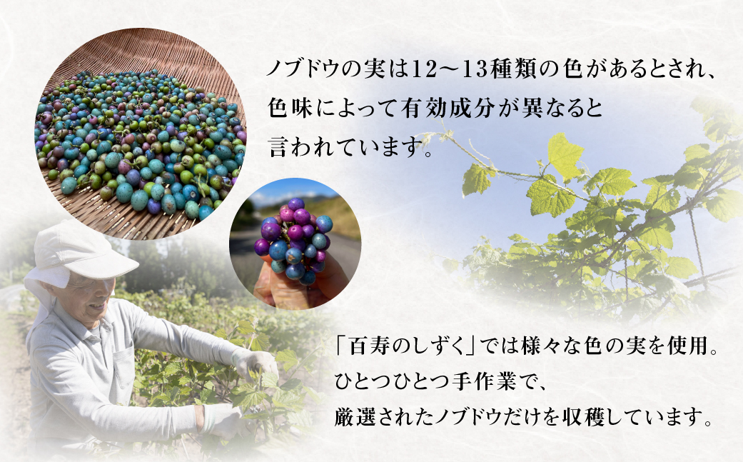 ノブドウのリキュール 「百寿のしずく」 500ml 1本 酒 リキュール ノブドウ 野草 のぶどう 野ぶどう 無農薬 化学肥料不使用 ギフト 贈答 箱入り 厳選 飛騨市 和草-nikogusa- ダブルニット