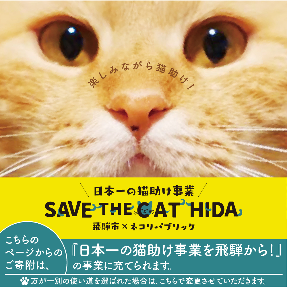 【ふるさと納税】ネコ尽くしにゃんにゃん味噌煎餅22袋セット 味噌煎餅  詰め合わせ 22袋 せんべい チョコ 味噌 生姜 酒かす 珈琲 えごま グラノーラ さつまいも トマト