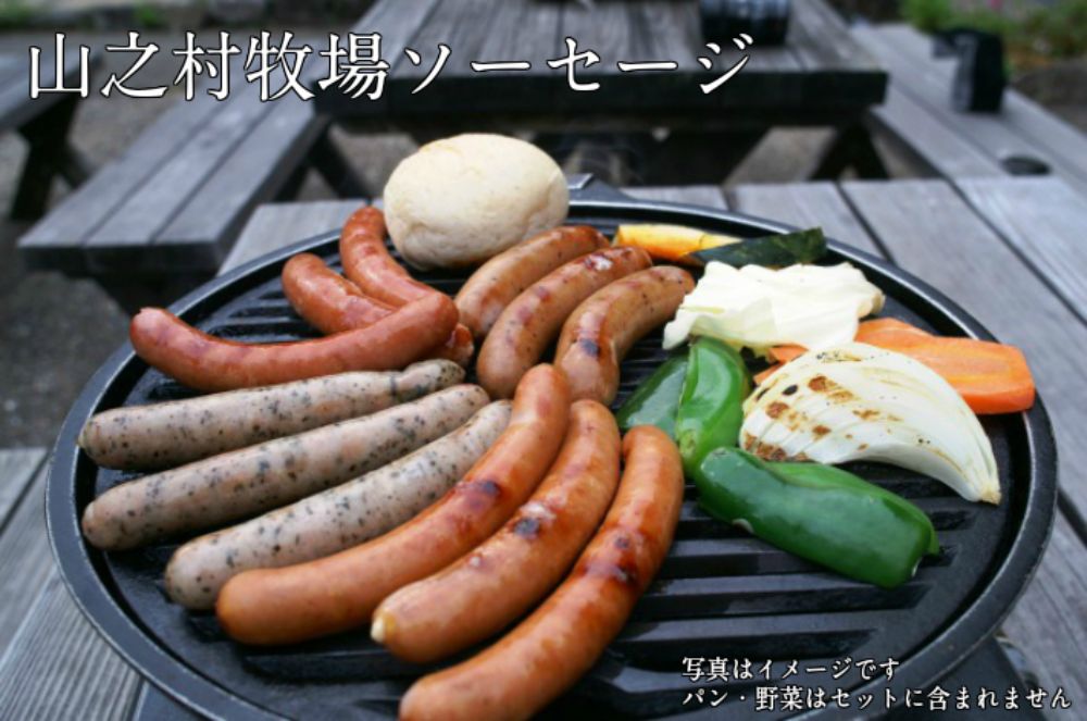 肉製品10点セット 肉製品 詰め合わせ ソーセージ ブロック ベーコン 山之村牧場[Q503]