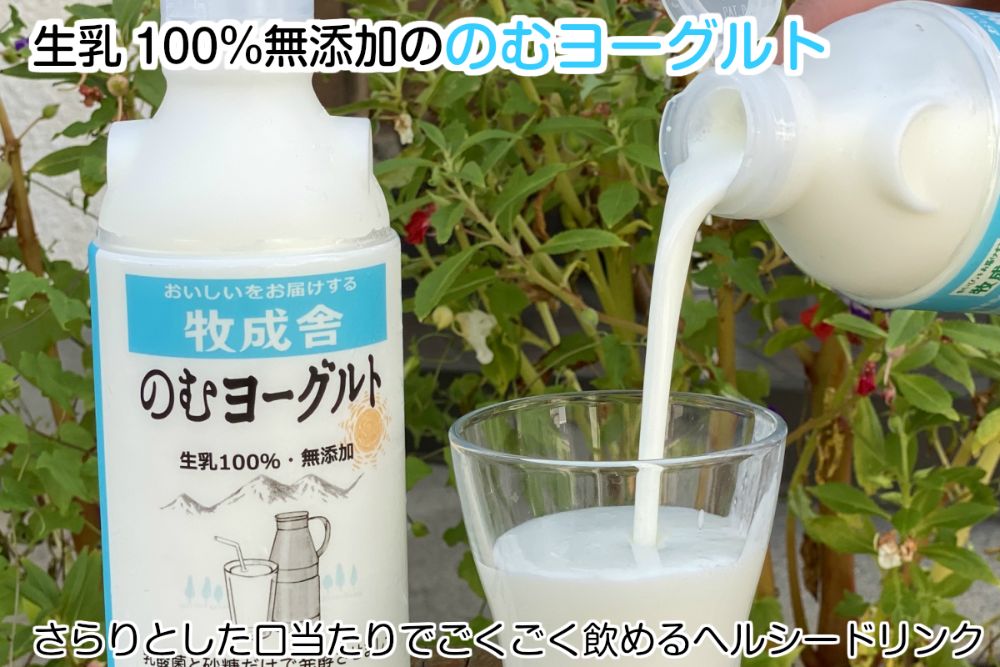 《定期便》牧成舎 牛乳＆ヨーグルトよりどりセット 12ヶ月定期便 飲むヨーグルト ヨーグルト2種類[Q324x]