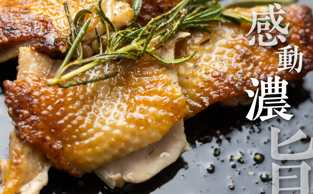 地鶏 鶏肉 飛騨地鶏 骨付きチキン 8本 国産 地鶏 国産地鶏 パーティー クリスマス 骨付き 骨付き肉 ローストチキン用 生 お肉 ホームパーティー Xmas