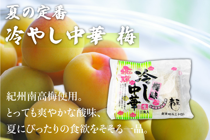 【夏季限定 4～9月発送】夏麺セット 12食 冷やし中華 生うどん 生そば 老田屋 夏 爽やか 常温保存 老田屋[Q745]
