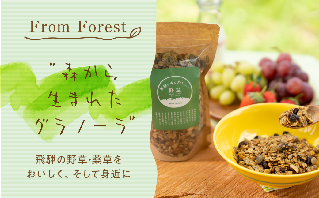 飛騨産野草が入った飛騨の森の グラノーラ　3袋 オートミール 無添加 シリアル 自然派 ハトムギ[Q858x]