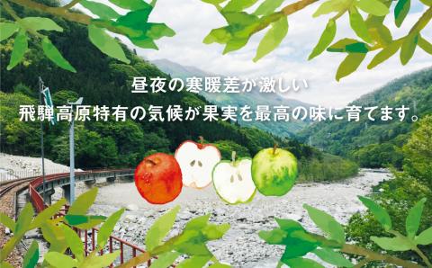 ぎゅっとりんごジュース　5種10本 飲み比べ 化粧箱入り 100%飛騨リンゴを使っておいしさを凝縮したジュース 農家直送 黒内果樹園 ギフト お中元 にも