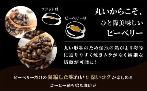 珈琲豆 ブラジルショコラ 300g 1袋