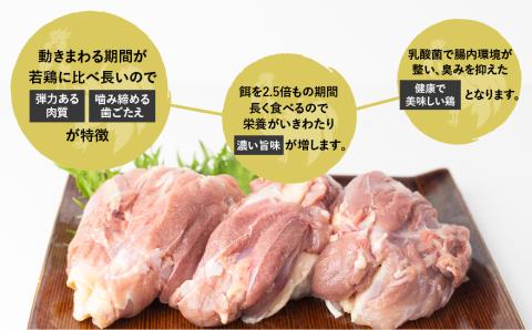 ひだ地鶏骨付きチキン4本  国産 地鶏 国産地鶏 骨付き 骨付き肉 ローストチキン用 生 鶏肉 お肉 クリスマス パーティー ホームパーティー Xmas
