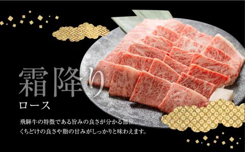 飛騨牛ロース・うでもも食べ比べセット 計1kg(250g×4) 焼肉用 BBQ 国産牛 国産 牛肉 肉 厳選 熟成 贈答用 肉の沖村[Q1090]