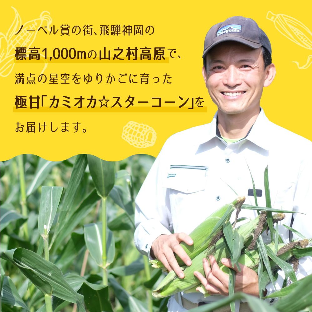 《2026年 先行予約》令和8年産《期間・数量限定》まるでフルーツ！特別栽培トウモロコシ　激甘！極旨のスーパースイート系トウモロコシ「カミオカスターコーン」とうもろこし 5本お届け 野菜 とうもろこし