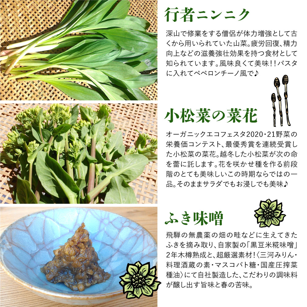  《先行予約》山菜を中心とした春の味覚セット 山菜