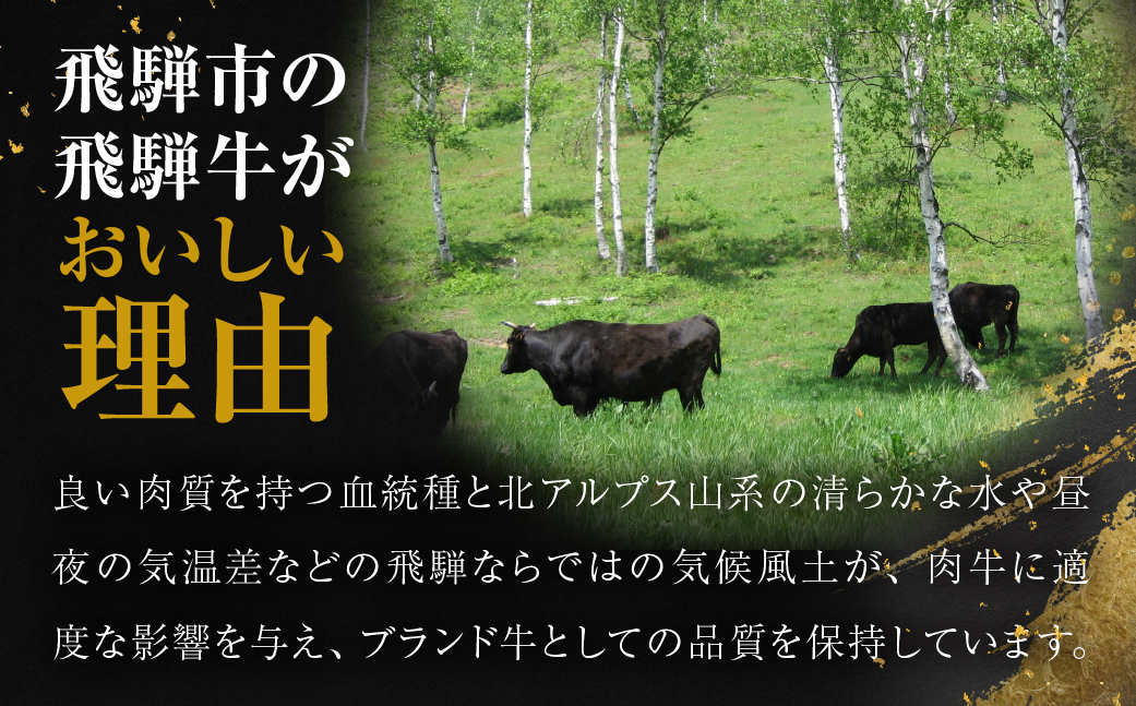＼100品以上から選べる／ 飛騨牛オンラインカタログ 900万円 | 有効期限なし 後から選べる あとから選べる 飛騨牛 牛肉 肉 国産牛 カタログ すき焼き しゃぶしゃぶ 焼肉 ステーキ 定期便 特産品 無期限 牛肉 和牛 国産 ギフト 福袋 飛騨市 岐阜県
