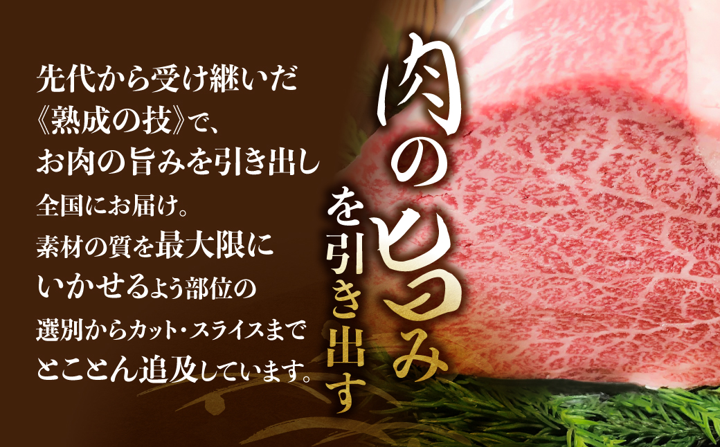 飛騨牛 5等級 ヒレ肉 ヒレステーキ 厚さ3cm 2枚で400g 希少 BBQにも 古里精肉店[Q551]