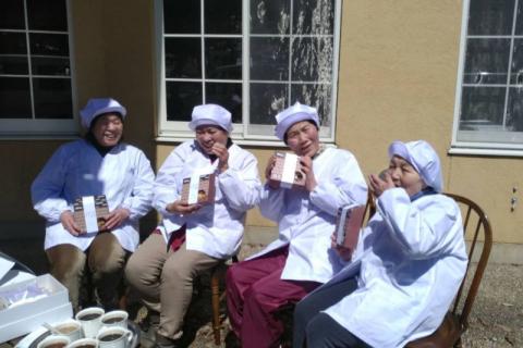 先行予約【2026年2月下旬より発送】奥飛騨山之村 寒干し大根 伝統保存食 乾物 干し大根 煮物 すき焼き おでん 漬物 100g×2袋 [Q467]