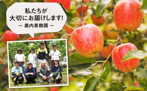 ぎゅっとりんごジュース　5種10本 飲み比べ 化粧箱入り 100%飛騨リンゴを使っておいしさを凝縮したジュース 農家直送 黒内果樹園 ギフト お中元 にも