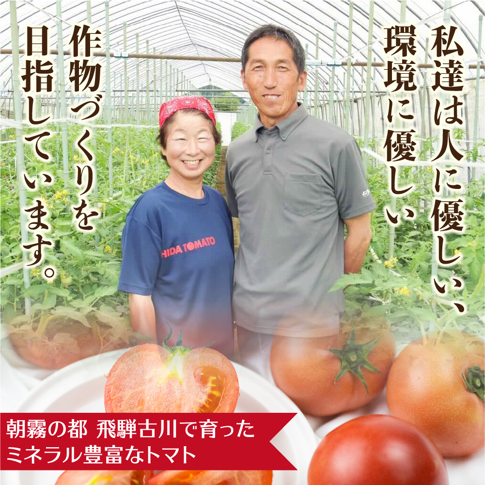 《先行予約》飛騨トマト　約1.8㎏ 産地直送 野菜 とまと トマト 麗月 夏野菜[Q716]