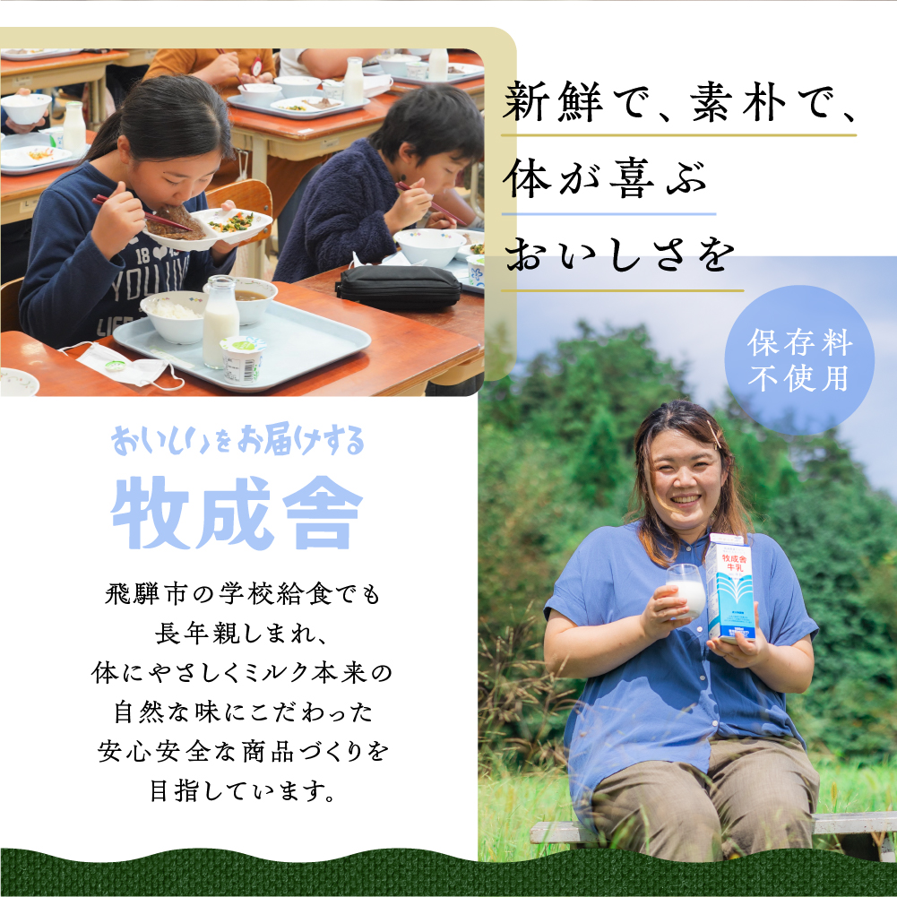 ＜牧成舎＞飛騨の手焼き最中アイス ミニサイズ 60ml×7個 妹最中 モナカ おまかせセット[Q291]
