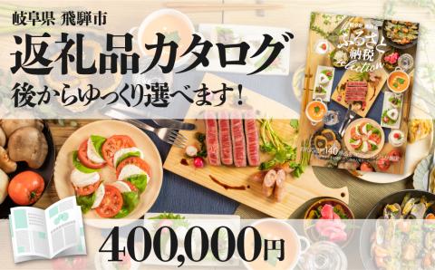 後からゆっくり返礼品を選べる♪飛騨市のふるさと納税カタログ[cat40] 400,000円